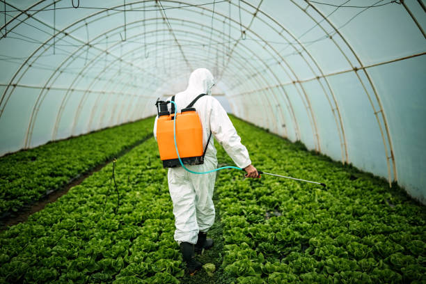 Best Pest Inspection Near Me  in Dupont, PA
