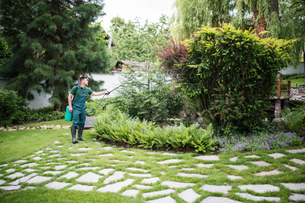 Best Wildlife Control Services  in Dupont, PA